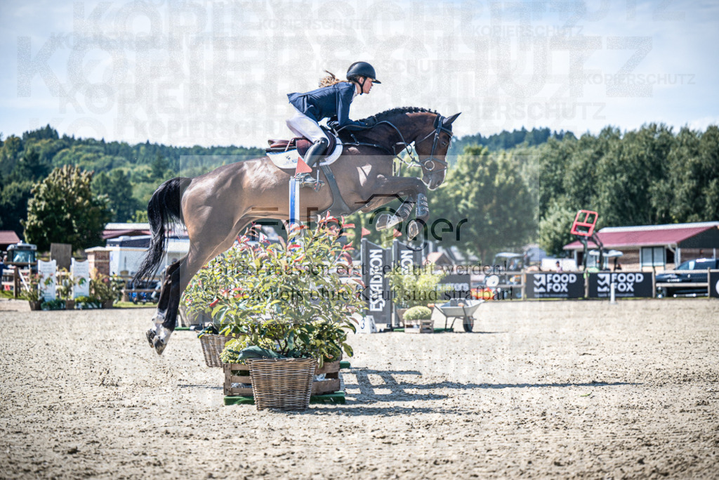 DOS_4891 | Entdecke hochwertige Reitturnierfotos von Foto Oger. Professionell, emotional und authentisch – jetzt Lieblingsmomente im Shop bestellen.Deutschlandweite Turnierfotografie. - Realisiert mit Pictrs.com