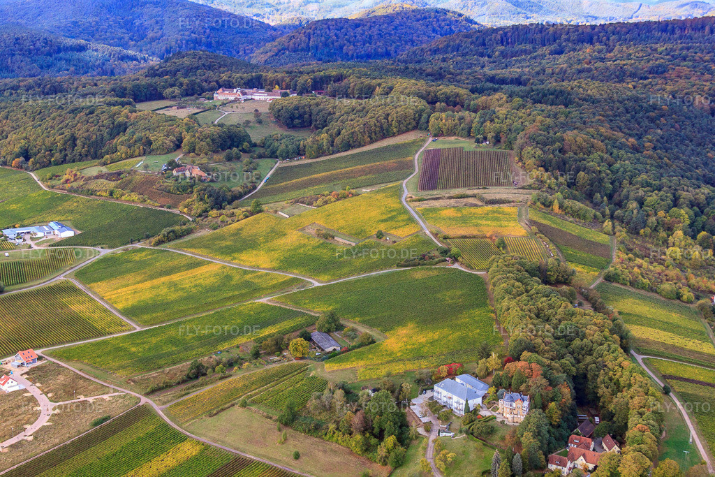 Liebfrauenweg | Luftbild: Liebfrauenweg in Bad Bergzabern im Bundesland Rheinland-Pfalz in Deutschland. Foto: IMG_22419.jpg vom 15.10.2009 durch Werner Riehm/FLY-FOTO.de - Realisiert mit Pictrs.com