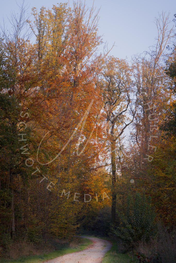 2024-11-01 Herbst Hemmingen Zeilwald 014 | Schwotte Media - Realisiert mit Pictrs.com