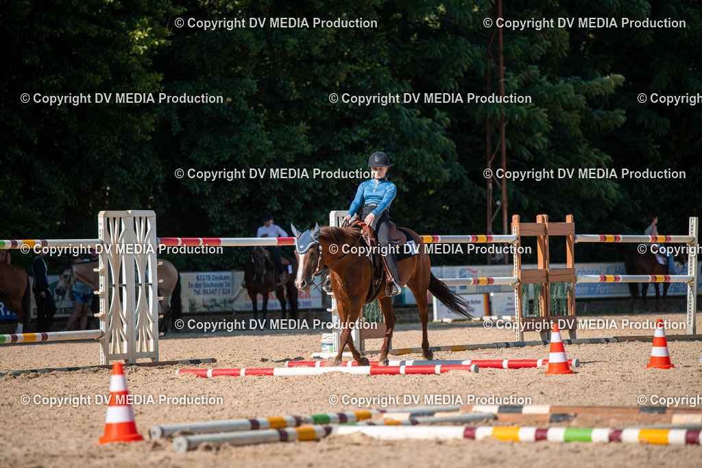 EWP_7004 | dv-media-shop - Realisiert mit Pictrs.com