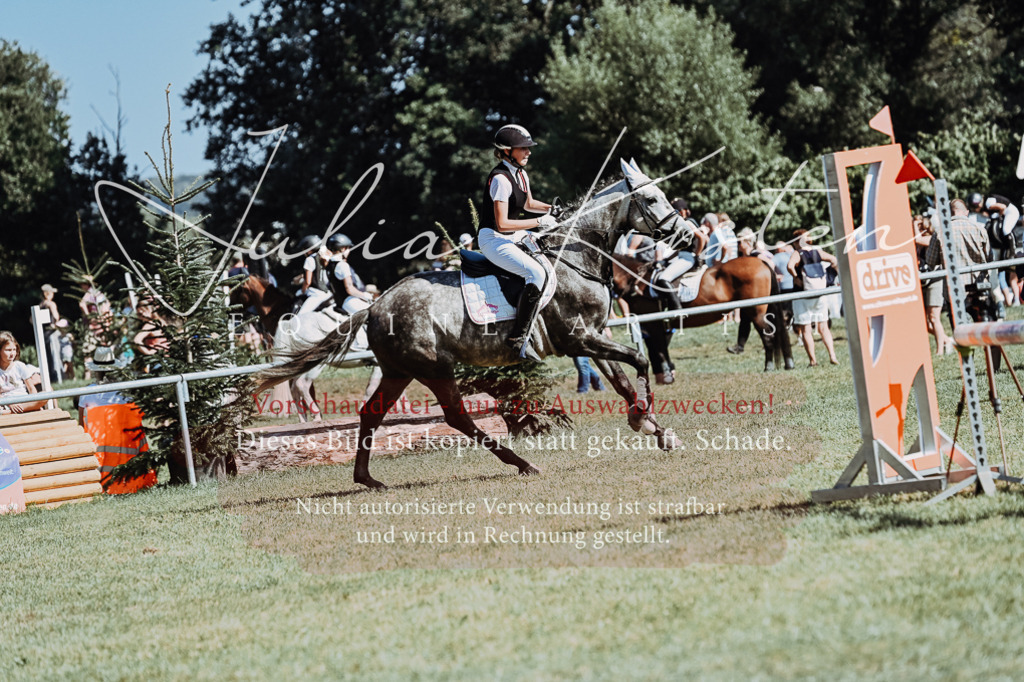 DSC_6559 | Pferde- und Turnierfotografie in Westsachsen. Pferdeportraits, Auftragszeichnungen und intuitive Kunst.