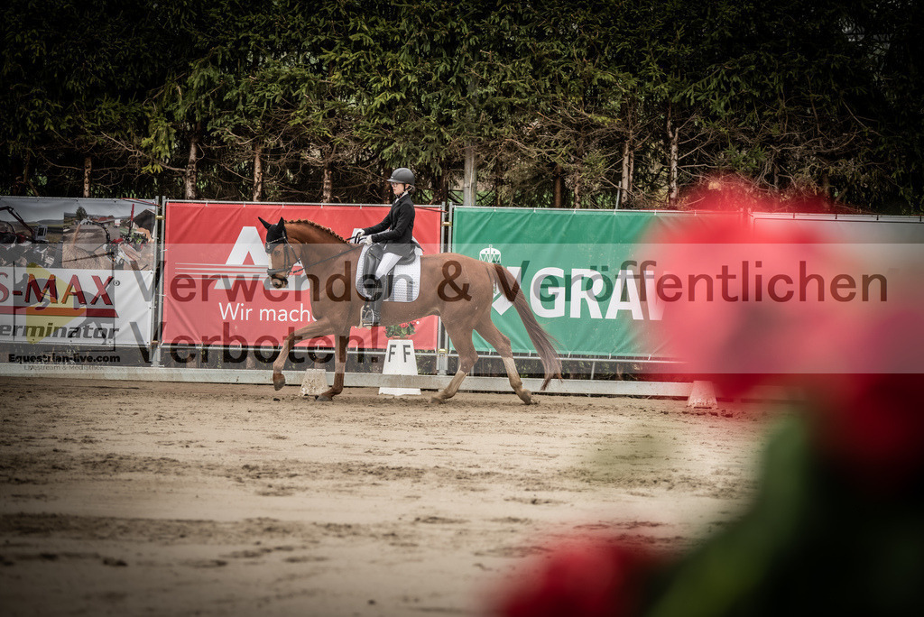 DSC_0252 | equestrian-live-com