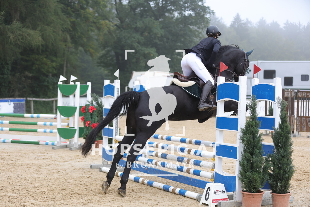 0P6A0867 | Willkommen bei Brunnmayr - Design & Fotografie – Ihrem Spezialisten für Reitturniere und Pferdeveranstaltungen in Oberösterreich, Salzburg und Bayern! Seit über 17 Jahren sind wir leidenschaftlich dabei.