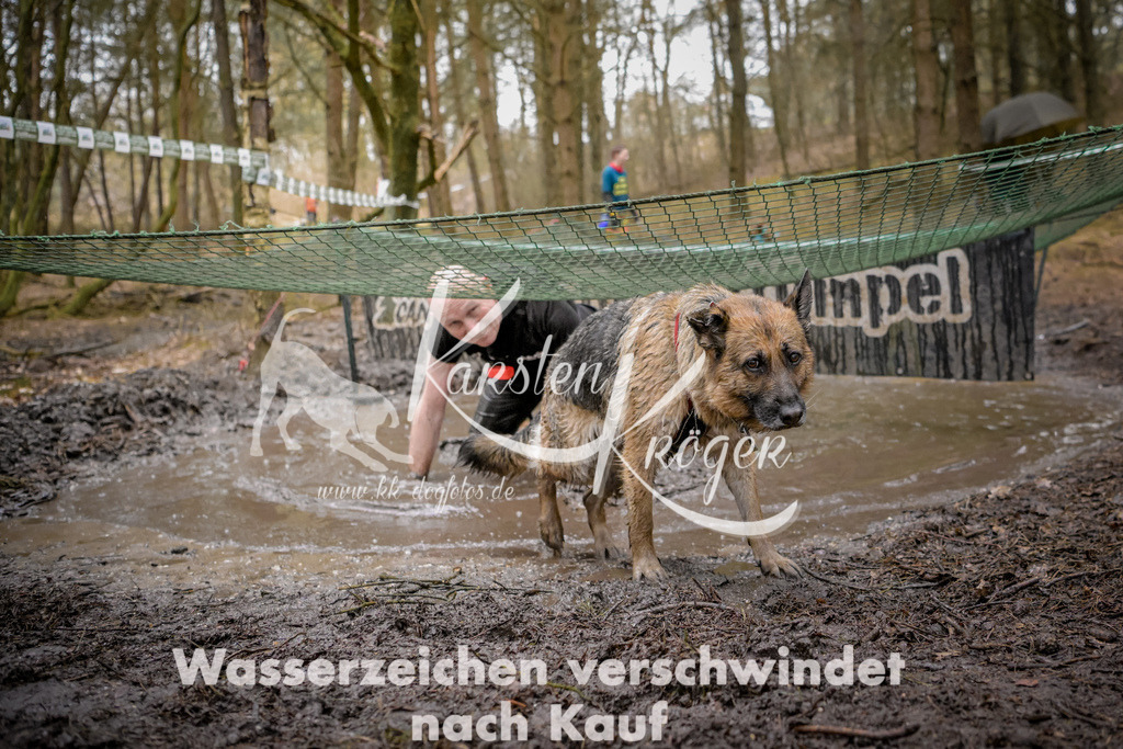0916_ZZ97075 | kk-dogfotos