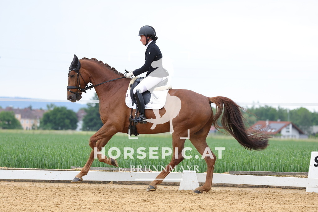 0P6A4915 | Willkommen bei Brunnmayr - Design & Fotografie – Ihrem Spezialisten für Reitturniere und Pferdeveranstaltungen in Oberösterreich, Salzburg und Bayern! Seit über 17 Jahren sind wir leidenschaftlich dabei.