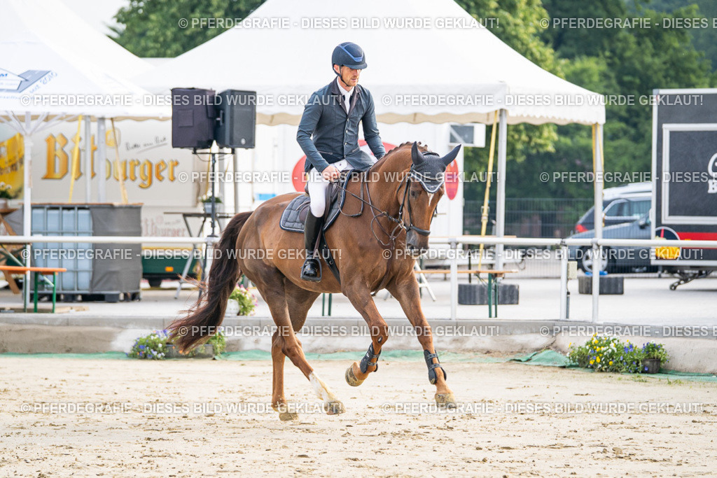 DSC08860 | Pferdegrafie