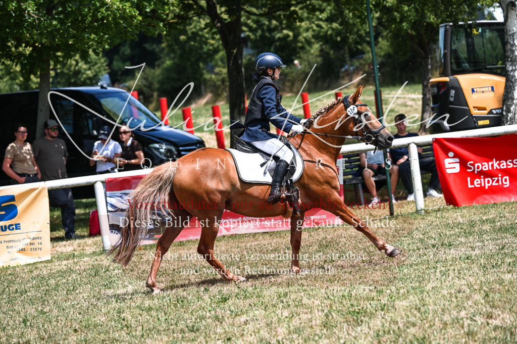 DSC_9677 | Pferde- und Turnierfotografie in Westsachsen. Pferdeportraits, Auftragszeichnungen und intuitive Kunst.