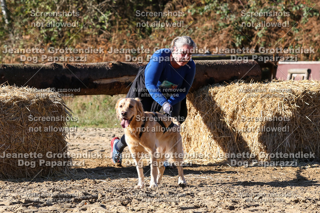 Dog Paparazzi - Strongdog 10-25-2452 | Dog Paparazzi Jeanette Grottendiek Fotografie & Videografie - Realisiert mit Pictrs.com