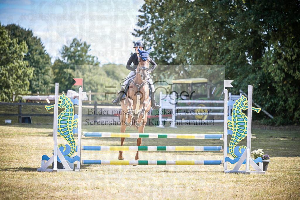 DOS_0892 | Entdecke hochwertige Reitturnierfotos von Foto Oger. Professionell, emotional und authentisch – jetzt Lieblingsmomente im Shop bestellen.Deutschlandweite Turnierfotografie. - Realisiert mit Pictrs.com