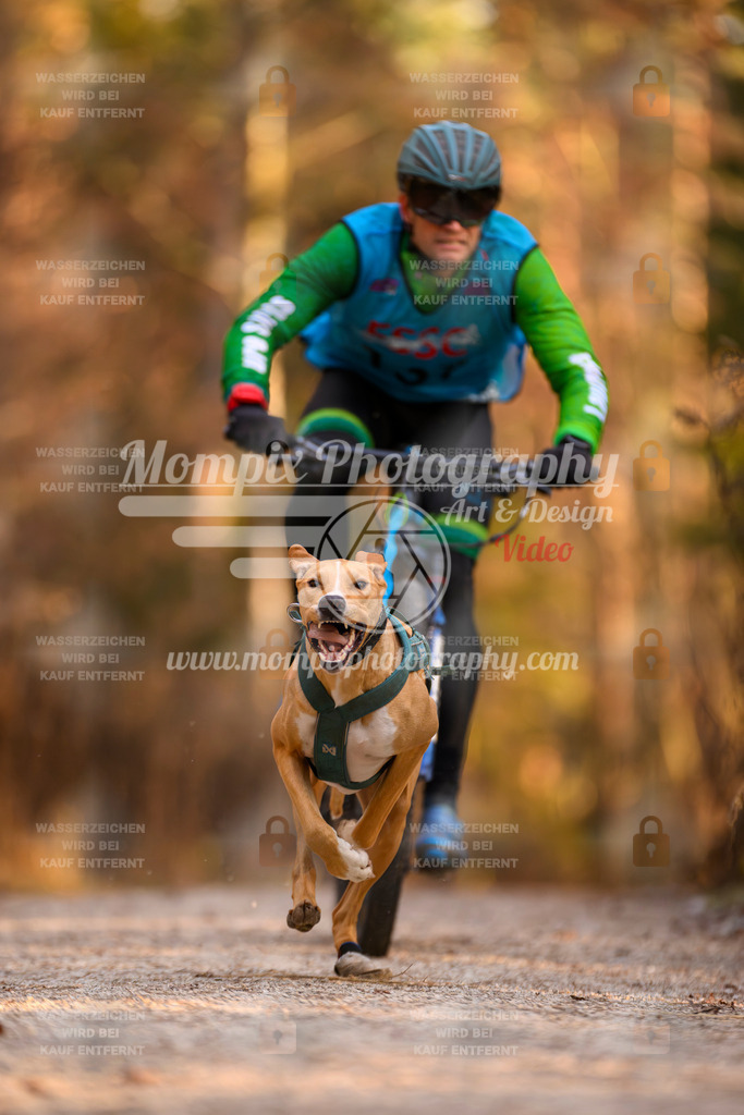 MompixPhotography_DM_AKDM_SO_2025_Bike-39 | PayLife