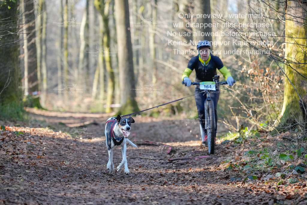 Scooter_So_So-17 | stephaniefillaphotographie - Realisiert mit Pictrs.com