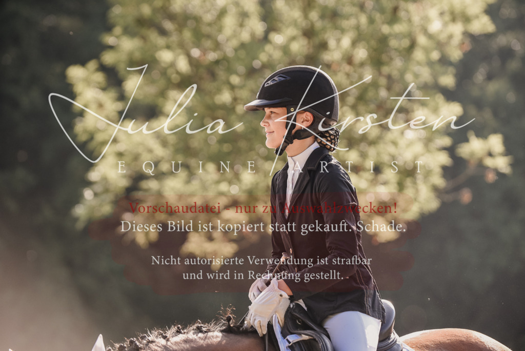 DSC_7897 | Pferde- und Turnierfotografie in Westsachsen. Pferdeportraits, Auftragszeichnungen und intuitive Kunst.