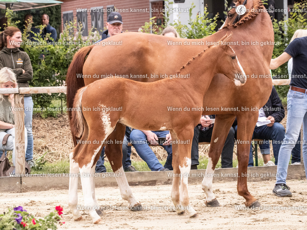 A10I9773 | photographylinaismer - Realisiert mit Pictrs.com