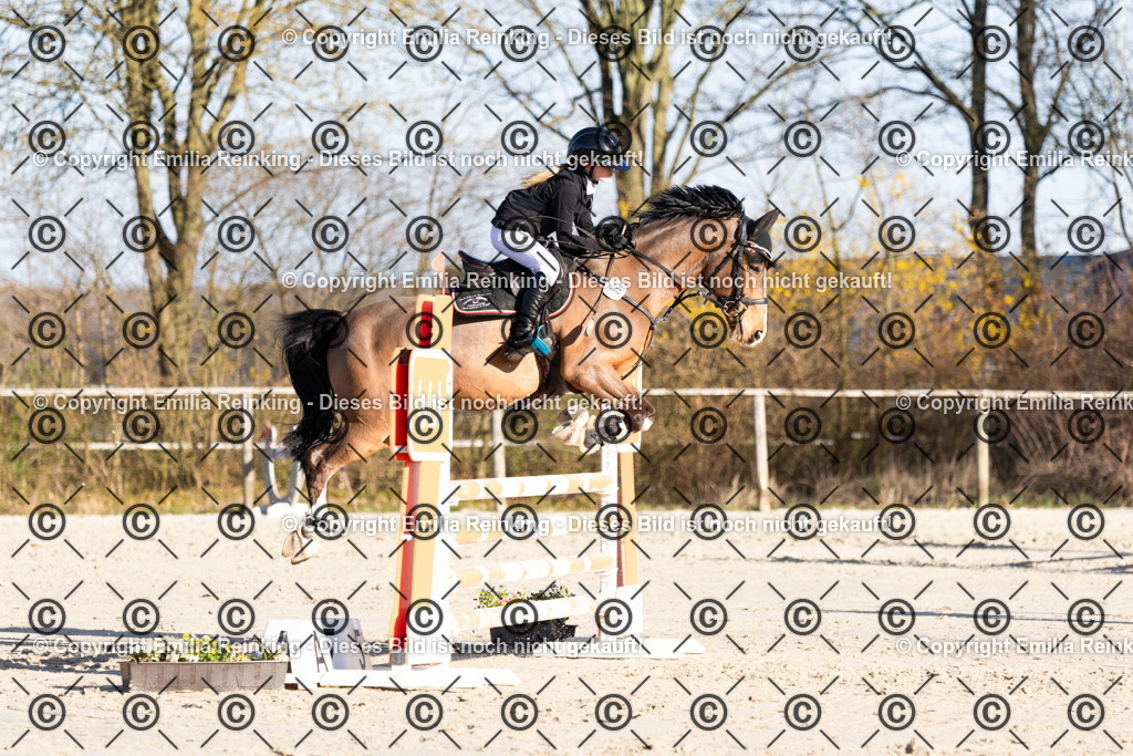 CL5A3412 | Emilia Reinking Fotografie - Realisiert mit Pictrs.com