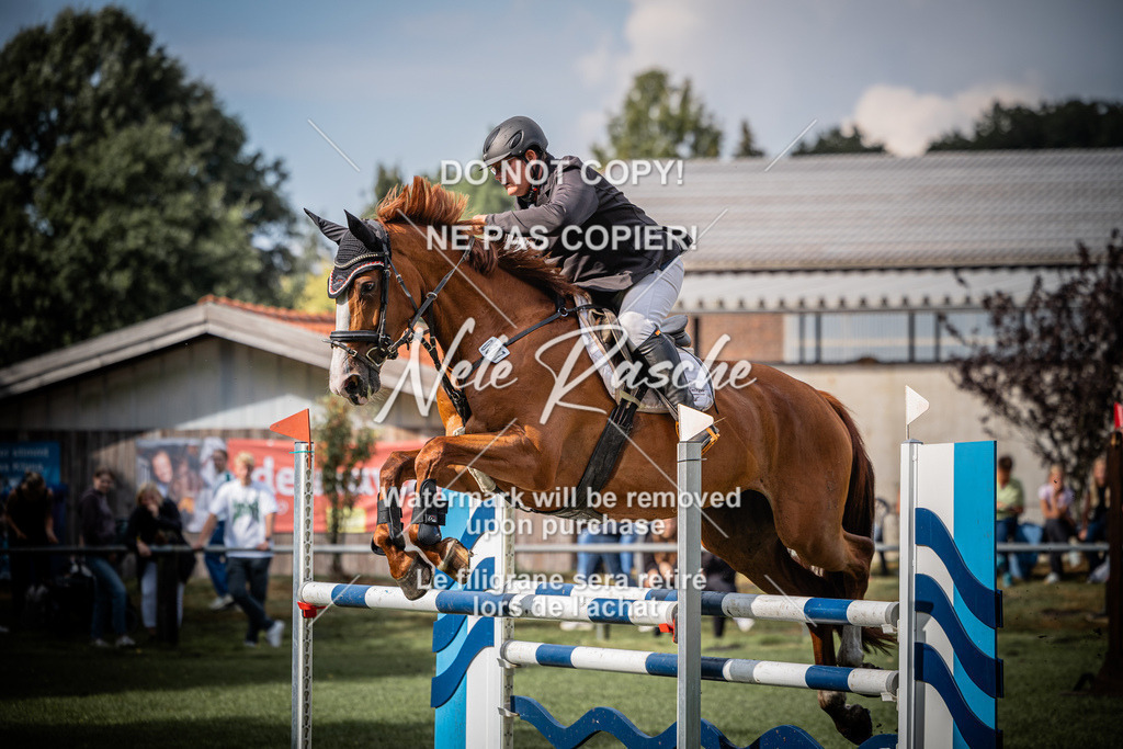 nelerasche_SprL115Ede_17 | nelerasche
