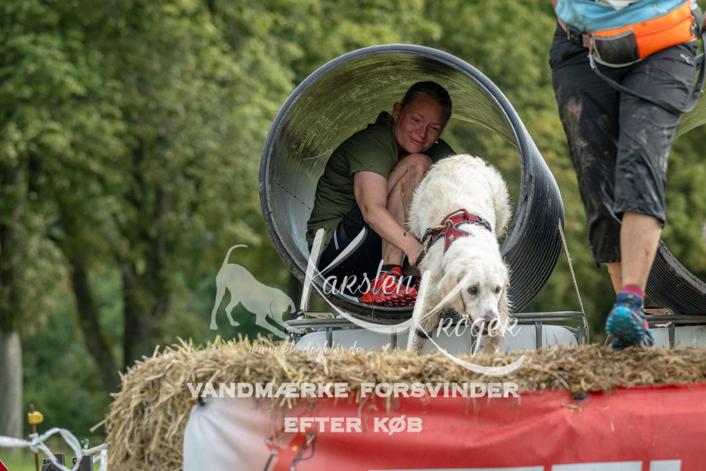 0955_ZZ91654 | kk-dogfotos