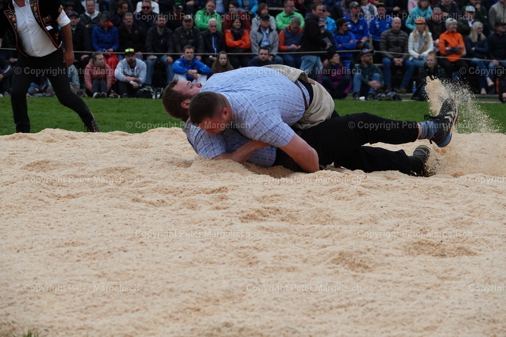 DSC03427 | Schwingen - Realisiert mit Pictrs.com