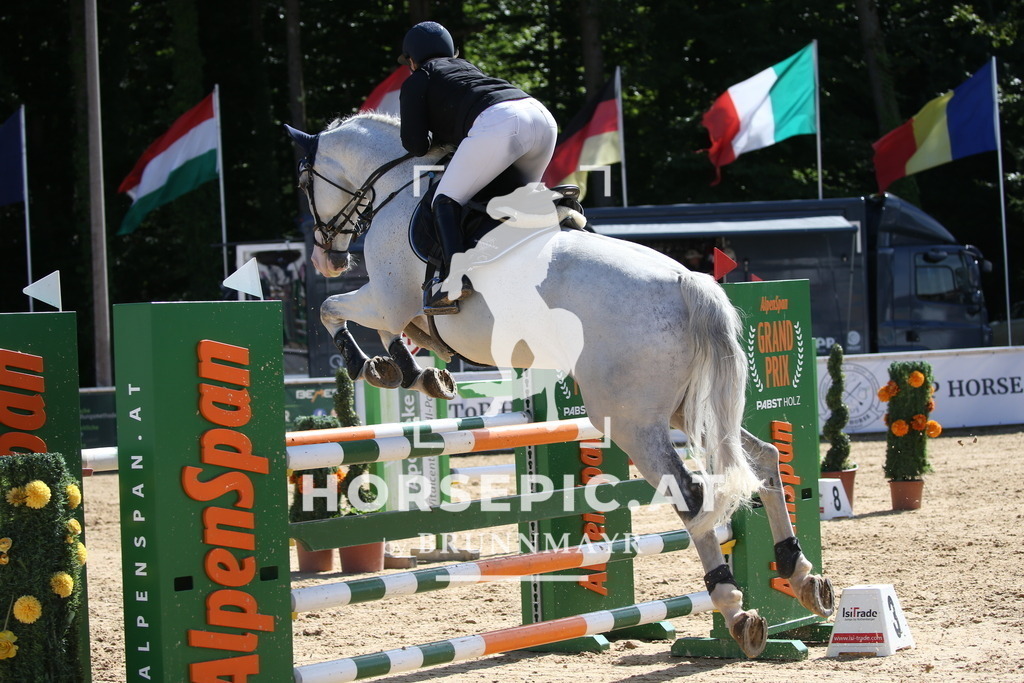 DL2Q3267 | Willkommen bei Brunnmayr - Design & Fotografie – Ihrem Spezialisten für Reitturniere und Pferdeveranstaltungen in Oberösterreich, Salzburg und Bayern! Seit über 17 Jahren sind wir leidenschaftlich dabei.