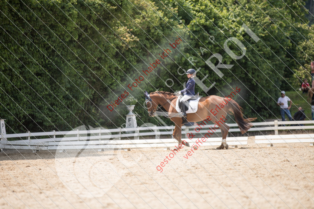 IMG_3782 | Sport-, Event- und Tierfotos in Profiqualität. Einfach auswählen, bestellen und herunterladen. Dein Moment – perfekt festgehalten.