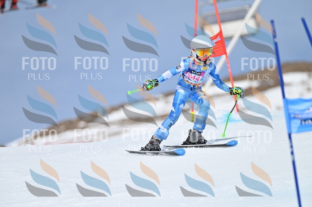 BGV_1772 | holidayphoto