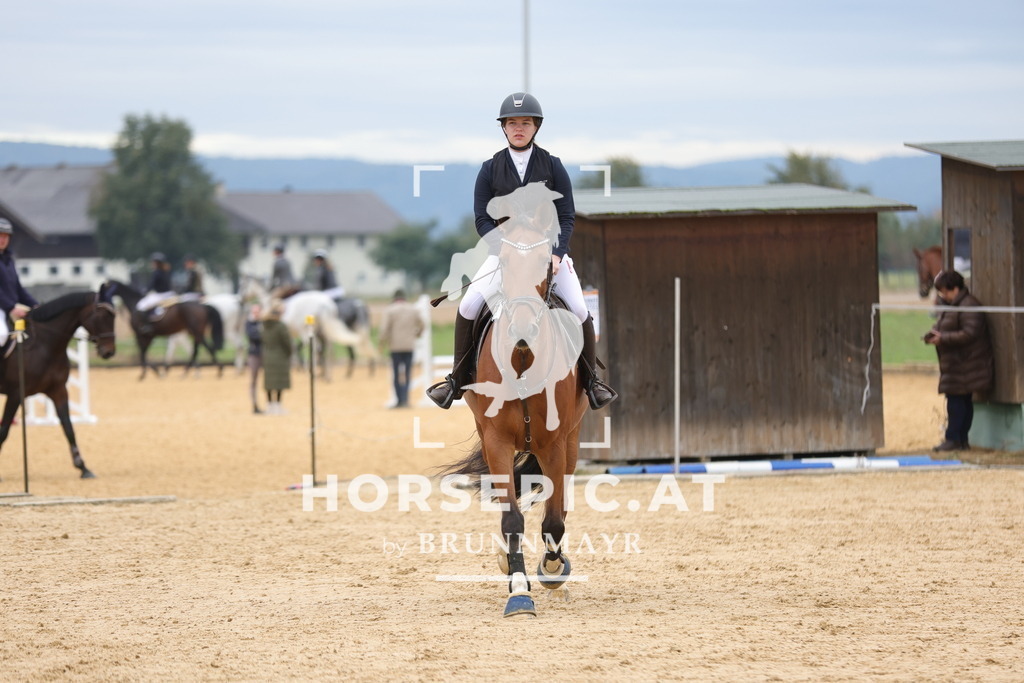 0P6A3988 | Willkommen bei Brunnmayr - Design & Fotografie – Ihrem Spezialisten für Reitturniere und Pferdeveranstaltungen in Oberösterreich, Salzburg und Bayern! Seit über 17 Jahren sind wir leidenschaftlich dabei.
