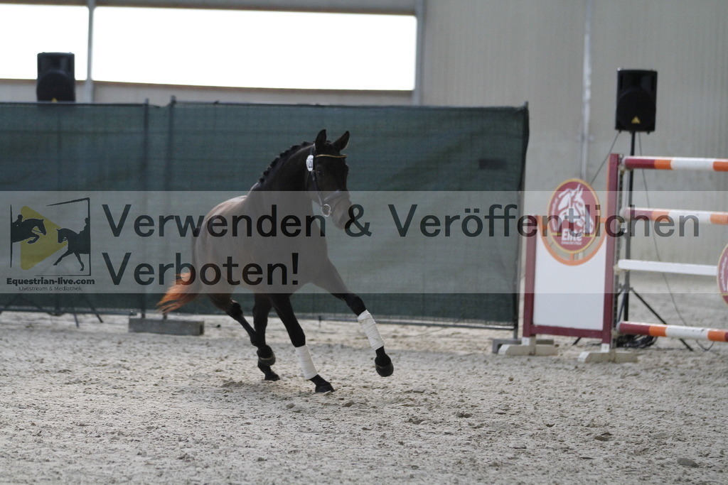_MG_9411 | equestrian-live-com