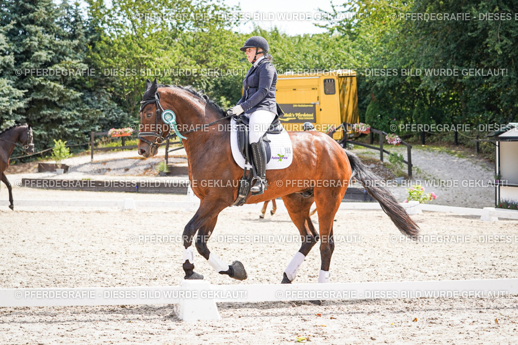 DSC02348 | Pferdegrafie