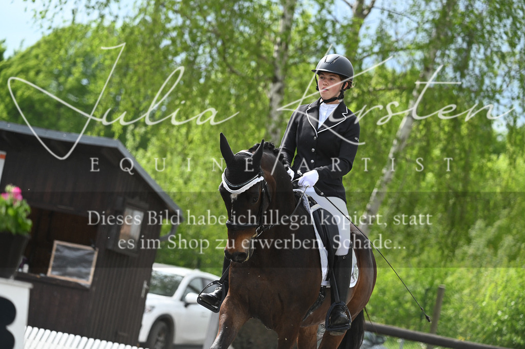 20230512_JK-Röhrsdorf-08-176 | Pferde- und Turnierfotografie in Westsachsen. Pferdeportraits, Auftragszeichnungen und intuitive Kunst.