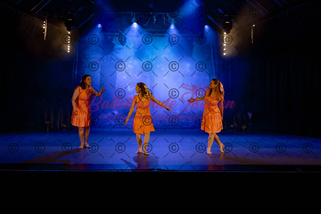 Ballettaufführung-517 | Bildershop Lem'n Entertainment - Realisiert mit Pictrs.com