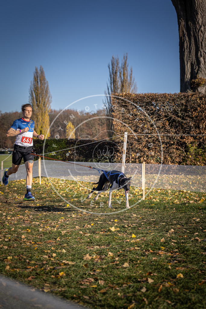 CaniXpix_DV3A0727 | Hundefotografie, Tierfotograf, Pfotenfotografie, Fotoshooting Hund, Hunde Portrait, Hundesport, Hundeportraits, Heideshooting, Hunde, Sportfotograf, Hundefotograf, Turnierhundsport, THS,  - Realisiert mit Pictrs.com