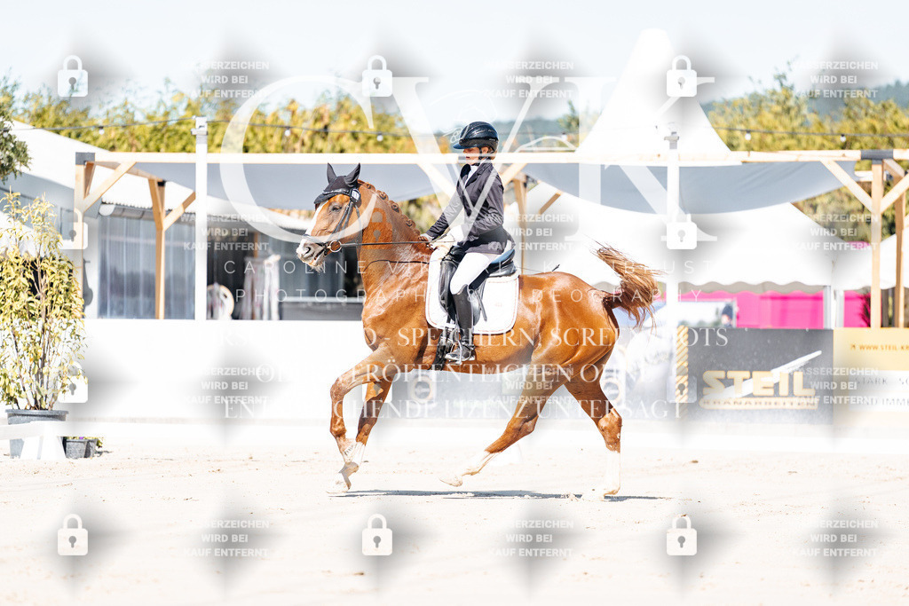 CK908926 | Turnierfotografie Pferdefotografie Trier Rheinland-Pfalz Pferdesport Reitsport Tierfotografie Sportfotografie Pferdevideo Pferdevideografie Equestrianvideography equestrianphotography  - Realisiert mit Pictrs.com