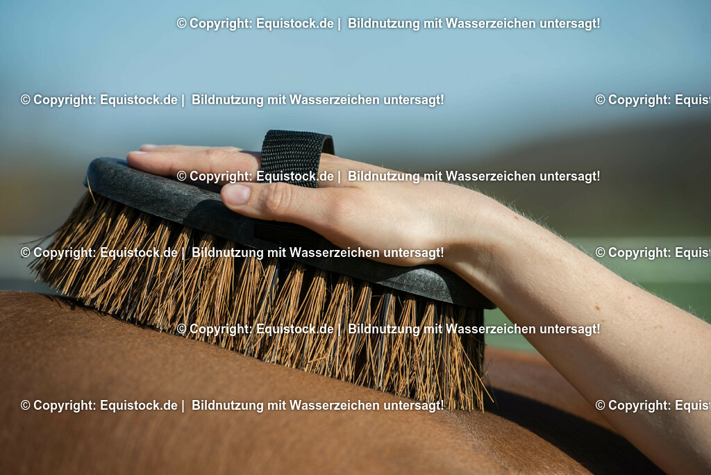 20150414_B__rsten_0004 | equistock