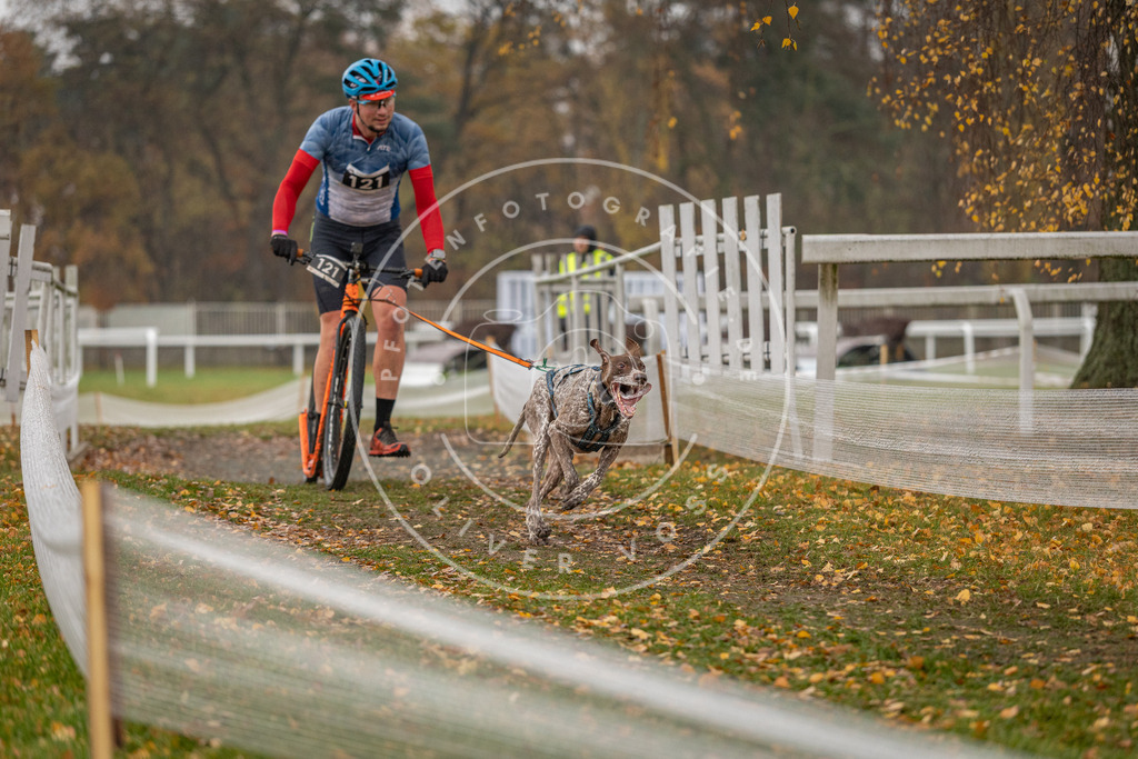 CaniXpix_DV3A8260 | Hundefotografie, Tierfotograf, Pfotenfotografie, Fotoshooting Hund, Hunde Portrait, Hundesport, Hundeportraits, Heideshooting, Hunde, Sportfotograf, Hundefotograf, Turnierhundsport, THS,  - Realisiert mit Pictrs.com
