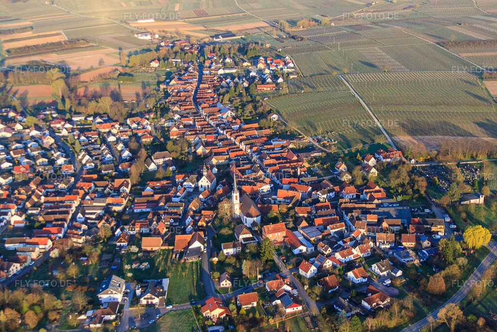 Luftbild: Kath. Kirche St. Laurentius und Laurentiusgarten in der Pfaffengasse am Morgen aus Osten in Göcklingen im Bundesland Rheinland-Pfalz in Deutschland. Foto: IMG_63111.jpg vom 20.03.2014 durch Werner Riehm/FLY-FOTO.de