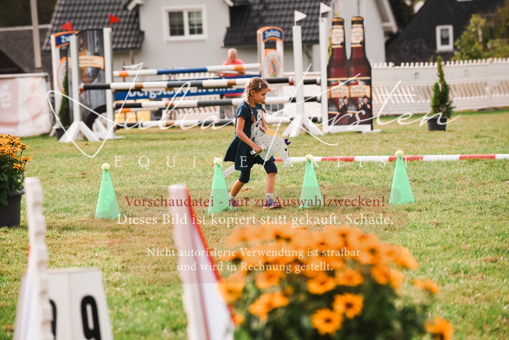 DSC_4701 | Pferde- und Turnierfotografie in Westsachsen. Pferdeportraits, Auftragszeichnungen und intuitive Kunst.