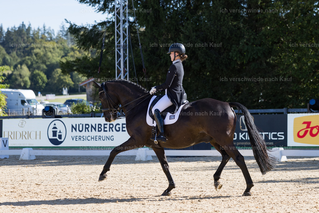FHC2026_P07_9_17450 | working equitationturnier fotograf videograf stoibphotography marixx film working equitation deutschland reitsport turnierfotografie eventfotografie equestrian events