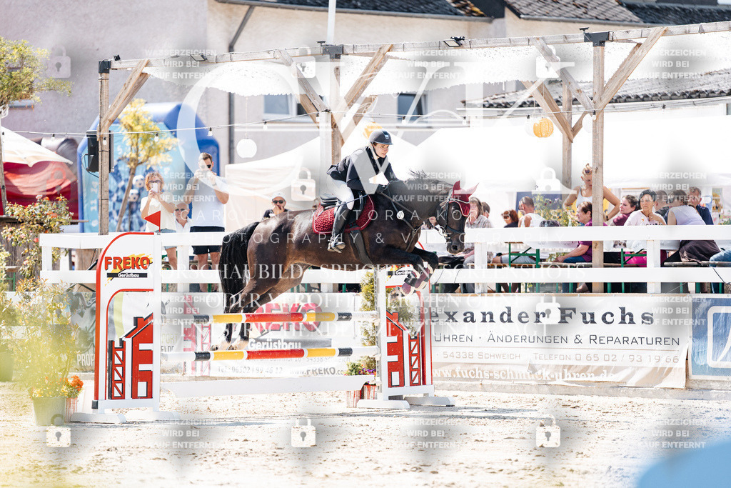 CK908797 | Turnierfotografie Pferdefotografie Trier Rheinland-Pfalz Pferdesport Reitsport Tierfotografie Sportfotografie Pferdevideo Pferdevideografie Equestrianvideography equestrianphotography  - Realisiert mit Pictrs.com