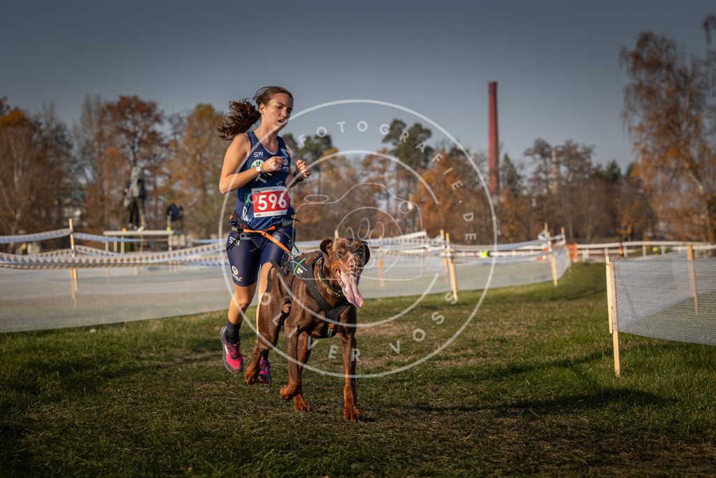 CaniXpix_0L8A0062 | Hundefotografie, Tierfotograf, Pfotenfotografie, Fotoshooting Hund, Hunde Portrait, Hundesport, Hundeportraits, Heideshooting, Hunde, Sportfotograf, Hundefotograf, Turnierhundsport, THS,  - Realisiert mit Pictrs.com
