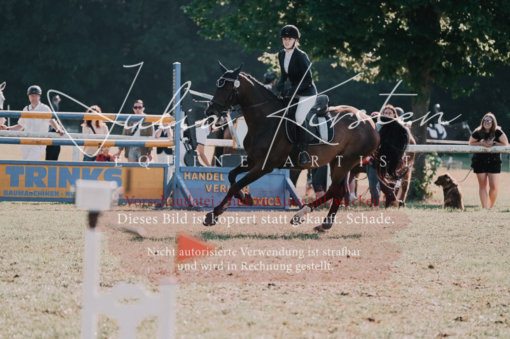 DSC_4808 | Pferde- und Turnierfotografie in Westsachsen. Pferdeportraits, Auftragszeichnungen und intuitive Kunst.