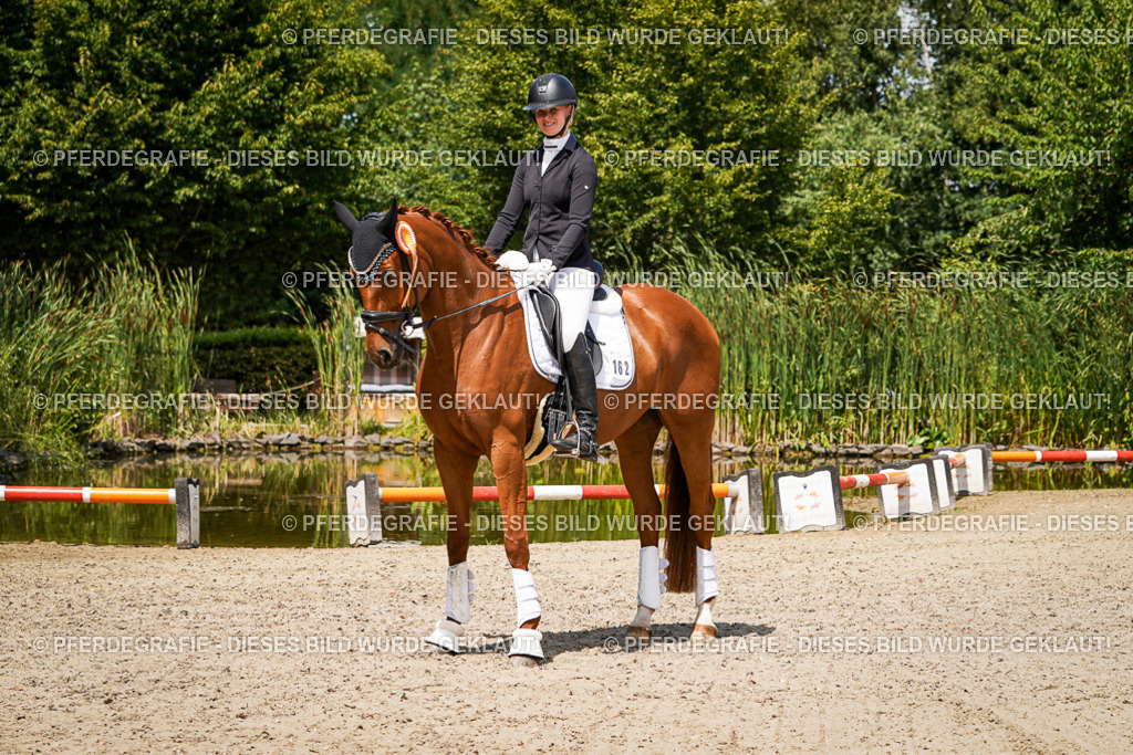 DSC01940 | Pferdegrafie