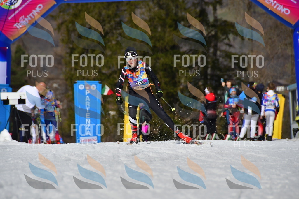 _DSC0672 | holidayphoto