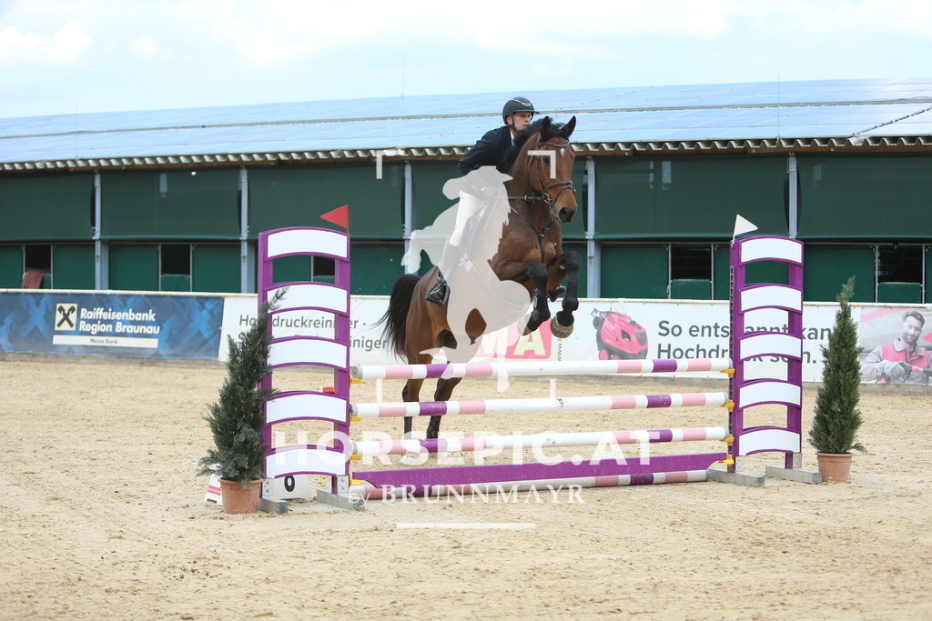 DL2Q9393 | Willkommen bei Brunnmayr - Design & Fotografie – Ihrem Spezialisten für Reitturniere und Pferdeveranstaltungen in Oberösterreich, Salzburg und Bayern! Seit über 17 Jahren sind wir leidenschaftlich dabei.