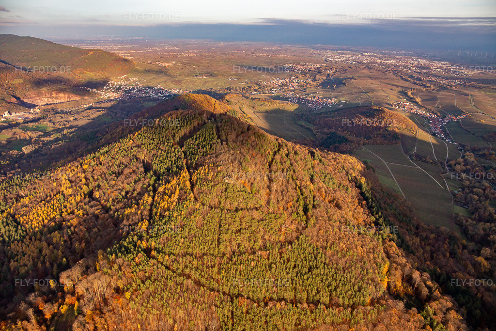 Luftbild: Hohenberg von Westen in Annweiler am Trifels im Bundesland Rheinland-Pfalz in Deutschland. Foto: IMG_139272.jpg vom 22.11.2023 durch Werner Riehm/FLY-FOTO.de