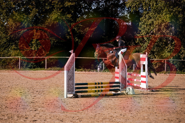 2026_10_03_Siefer-Hof_154659_Z81_66120678 | Professionelle Reitsport-, Turnier- und Eventfotografie von Robert Broda. Galerien mit ausgewählten und bearbeiteten Bildern direkt online ansehen und bestellen.