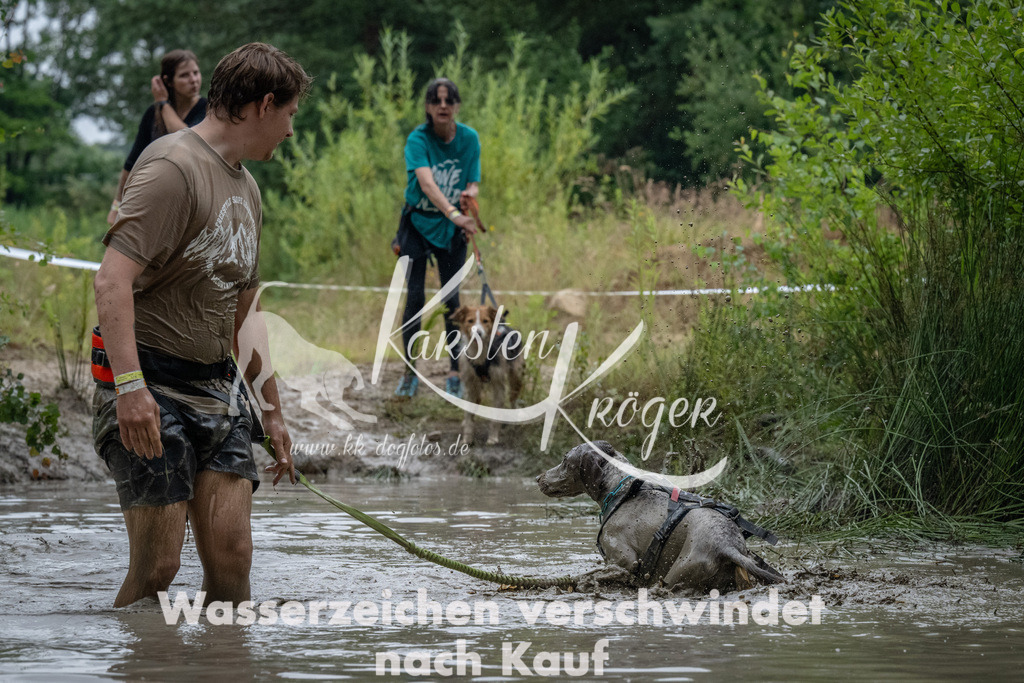 1307_ZZ92949 | kk-dogfotos