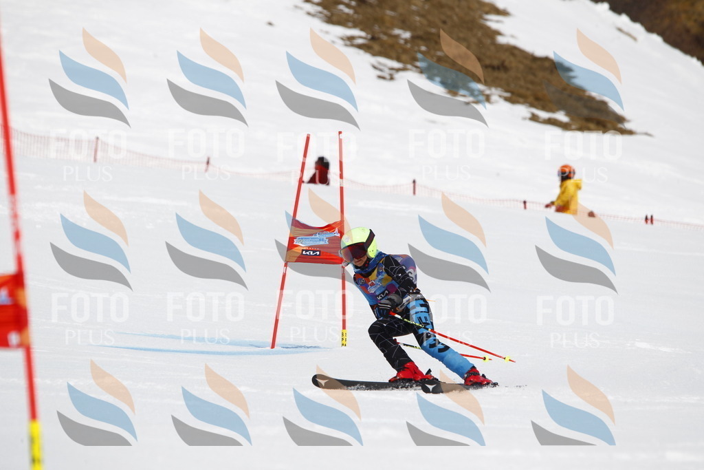 _U3G5962 | holidayphoto