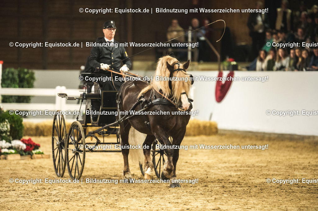 20240302_Hengstvorstellung_Marbach_TOMsPiC_0633 | equistock