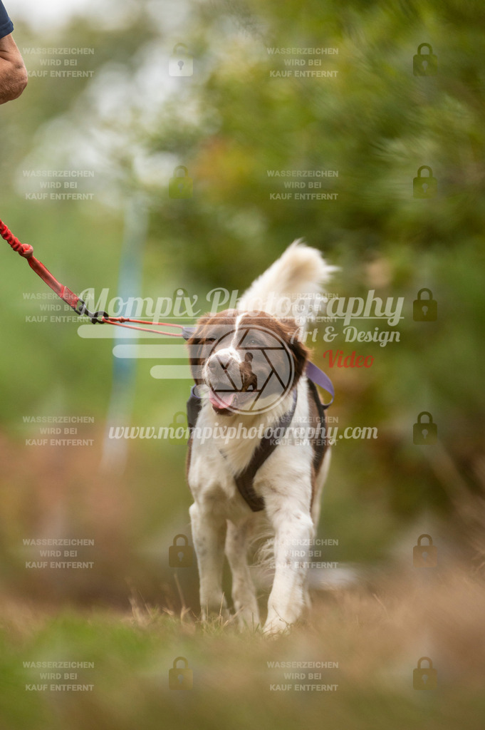 TSB_2023_E5_Canicross-99 | PayLife