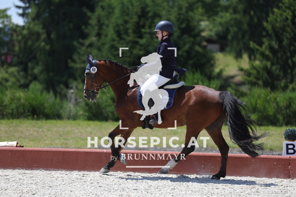 0P6A6344 | Willkommen bei Brunnmayr - Design & Fotografie – Ihrem Spezialisten für Reitturniere und Pferdeveranstaltungen in Oberösterreich, Salzburg und Bayern! Seit über 17 Jahren sind wir leidenschaftlich dabei.