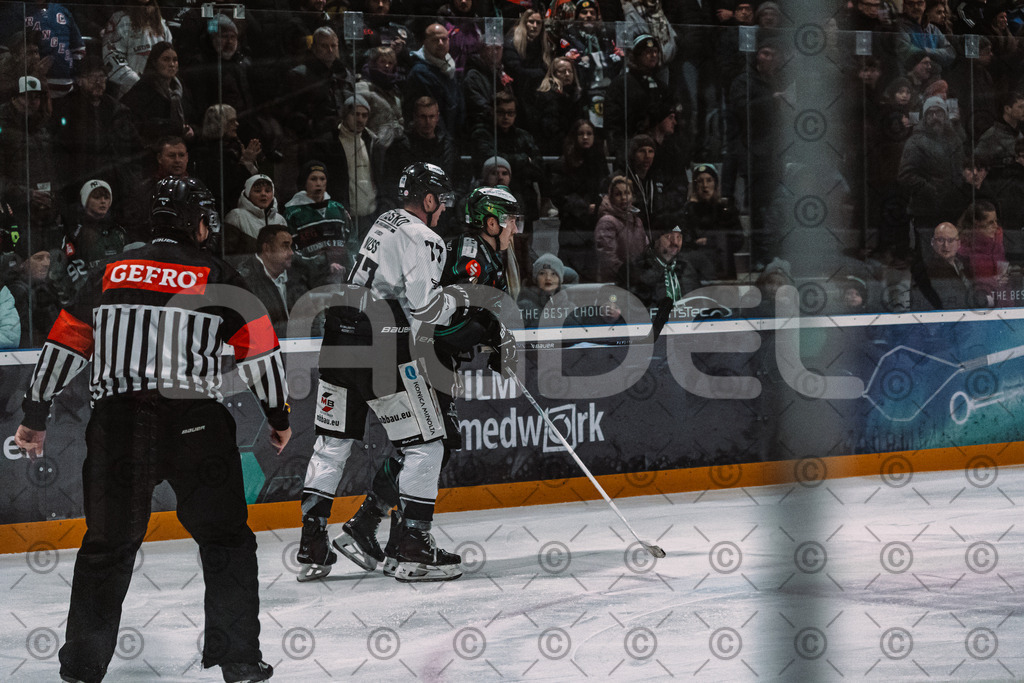 Alligators_vs_Passau_26_12_2025-050 | Höchstadt Alligators Fotogalerie: Eishockey-Action aus Franken. Professionelle Spielfotos, Portraits & Stadionbilder zum Download. Jetzt entdecken! - Realisiert mit Pictrs.com